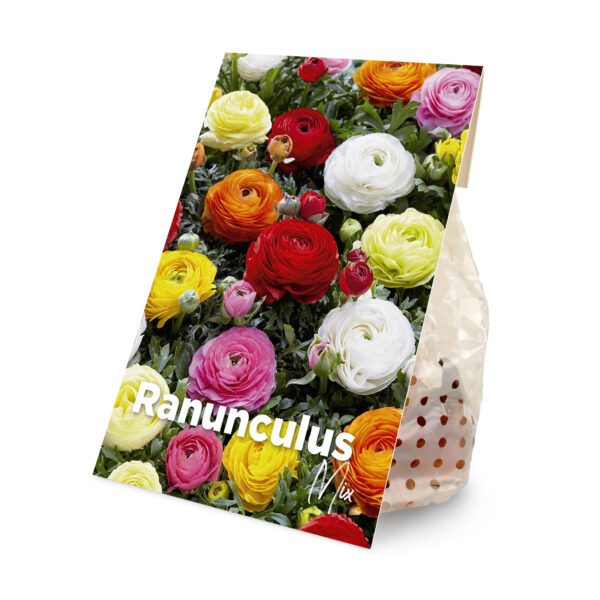 50x Ranunculus Mix (flower bulbs)