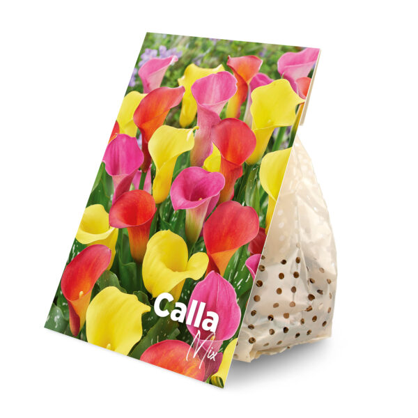 3x Calla Mix