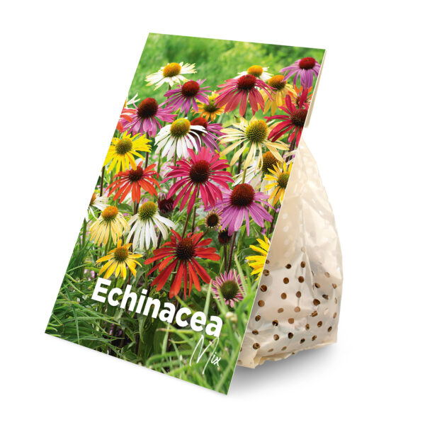 5x Echinacea Mix